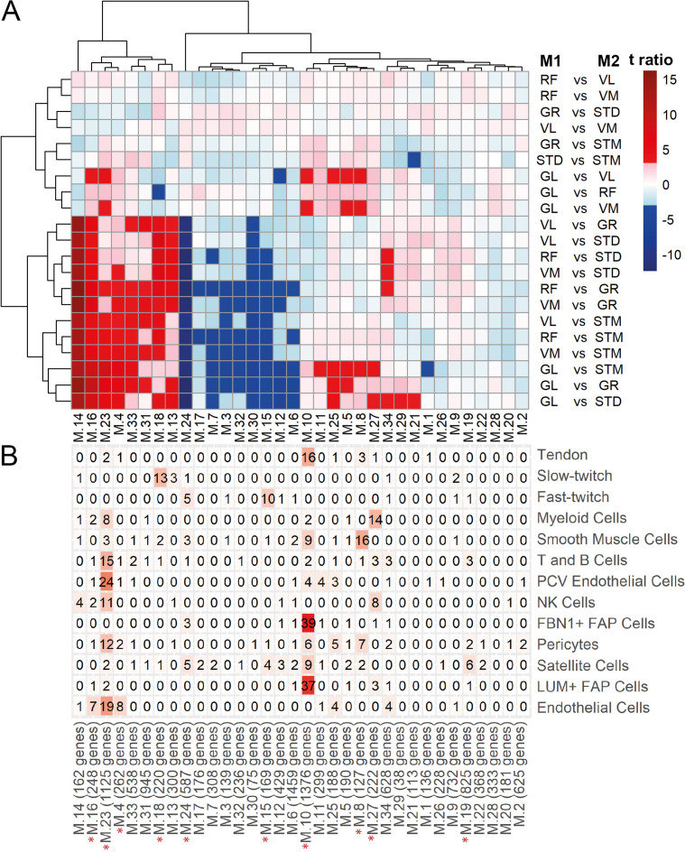 Figure 5—figure supplement 3.