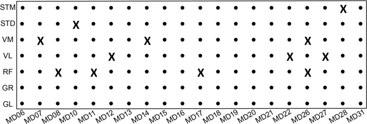 Figure 1—figure supplement 3.