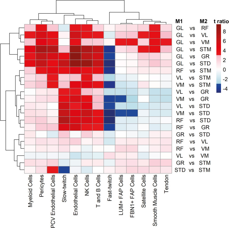 Figure 2—figure supplement 1.