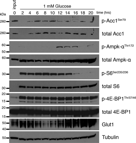 Extended Data Fig. 3