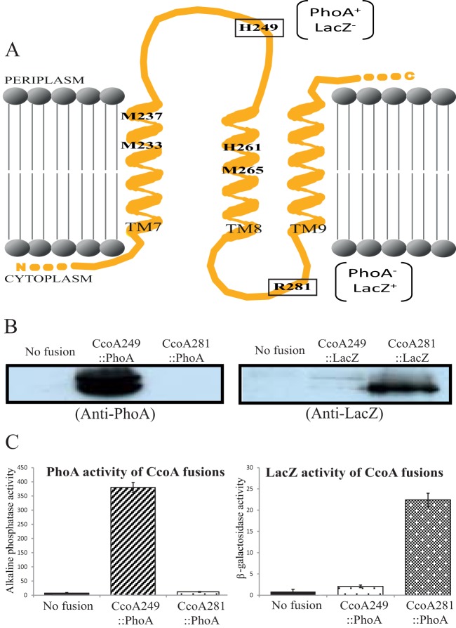 FIG 2 