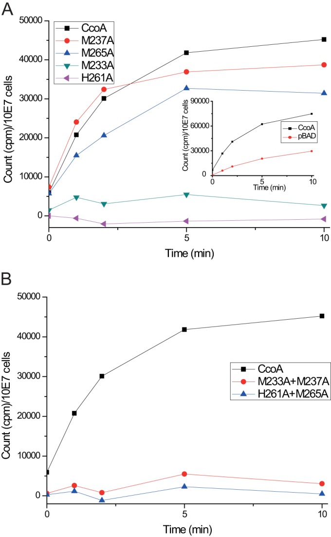 FIG 4 