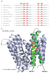 FIG 1