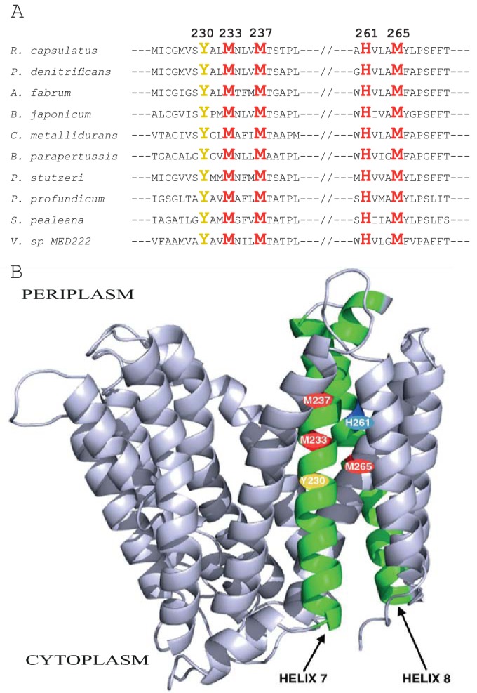 FIG 1 