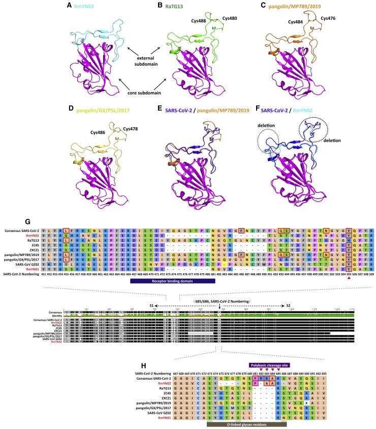 Figure 2