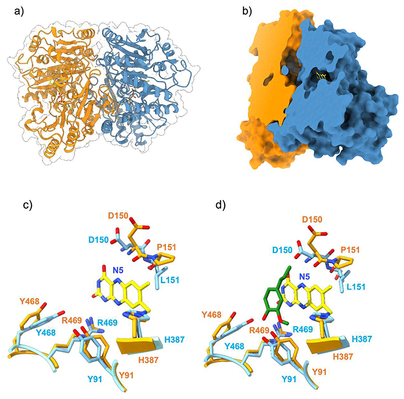 Figure 7