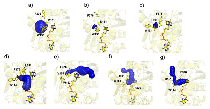 Figure 9