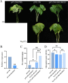 Fig. 11
