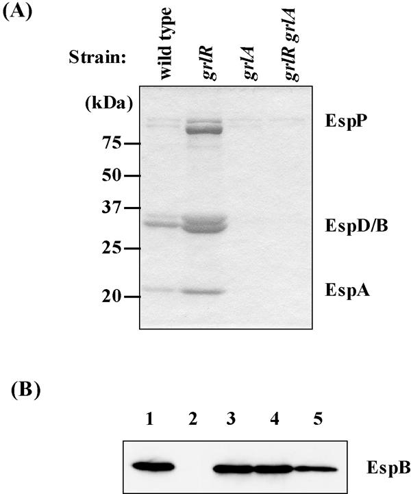 FIG. 8.