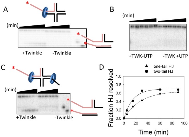 Figure 6.