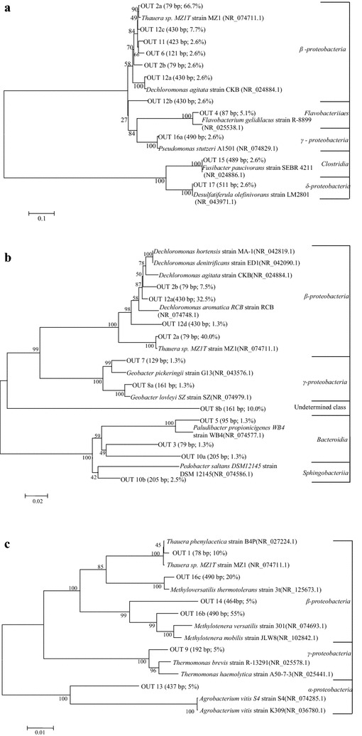 Fig. 5