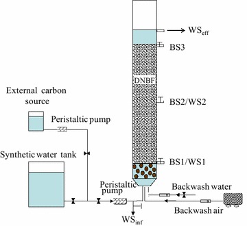 Fig. 1