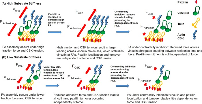 FIGURE 10: