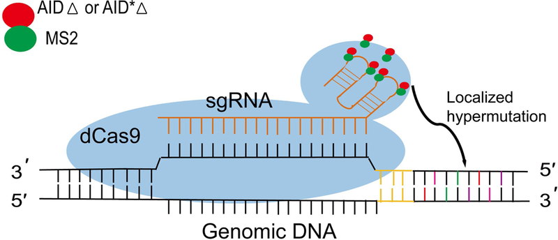 FIGURE 4