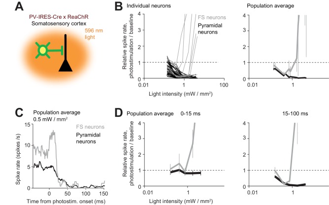 Figure 10.