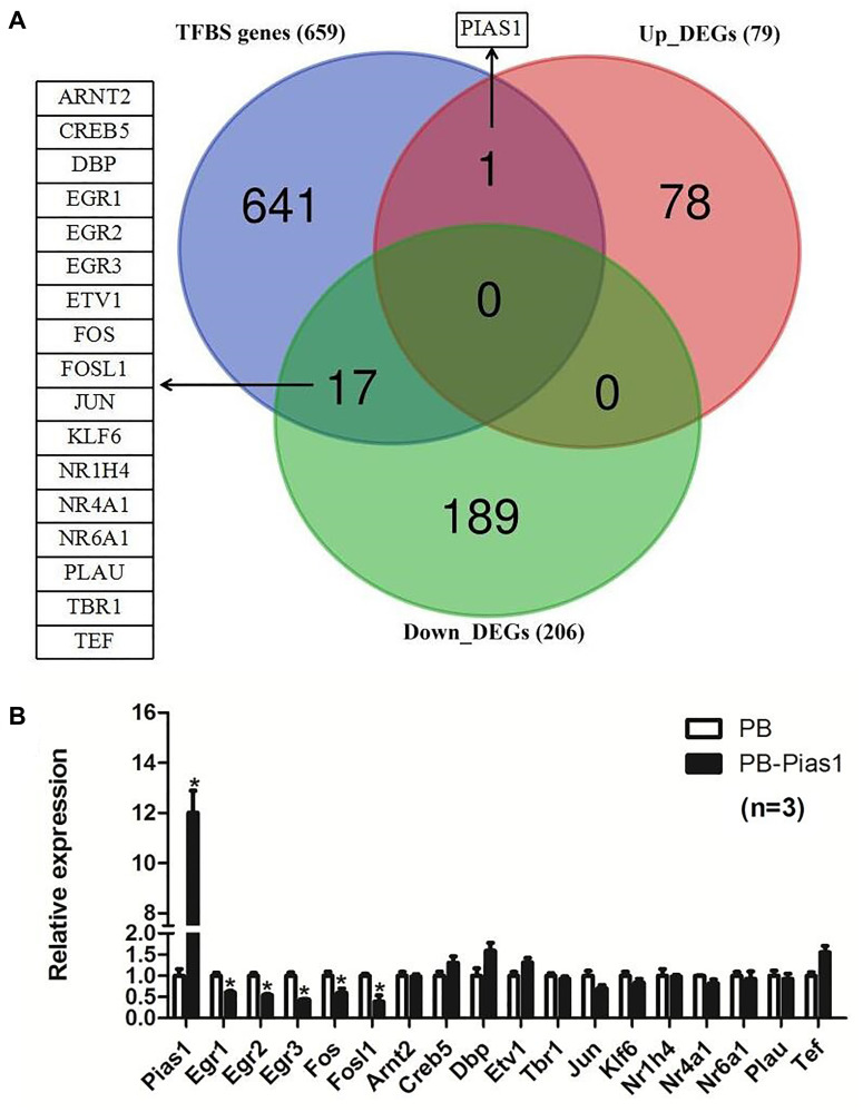 Figure 7