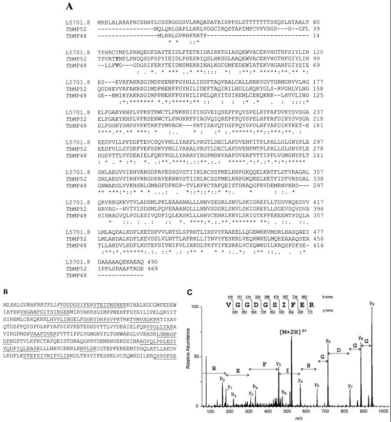 FIG. 6