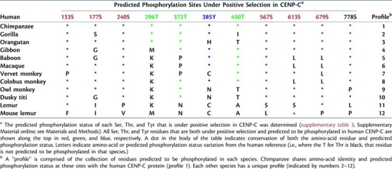 graphic file with name molbiolevolmsq043fx2_3c.jpg