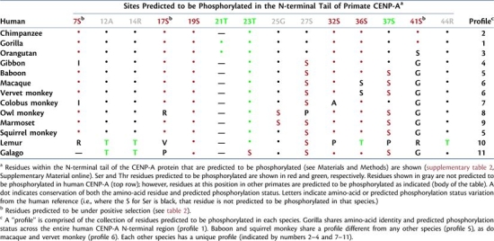 graphic file with name molbiolevolmsq043fx1_3c.jpg