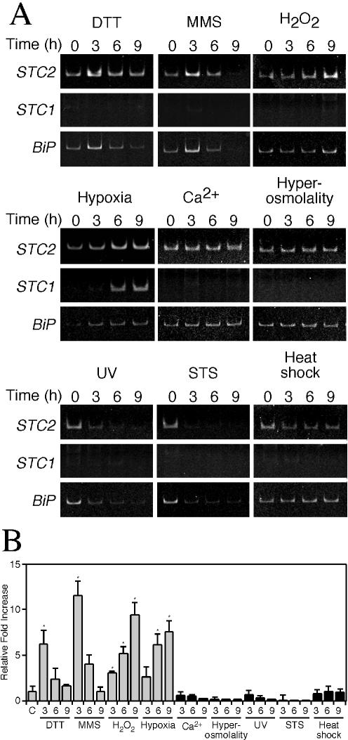 FIG. 6.