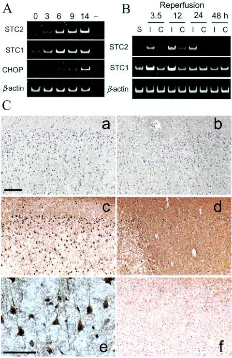 FIG. 8.