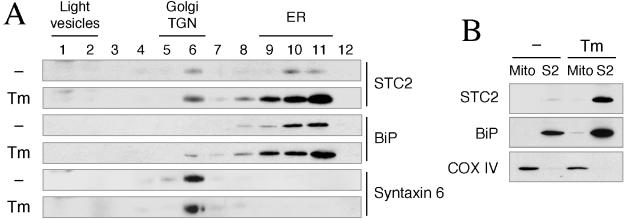 FIG. 5.