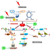 Graphical Abstract