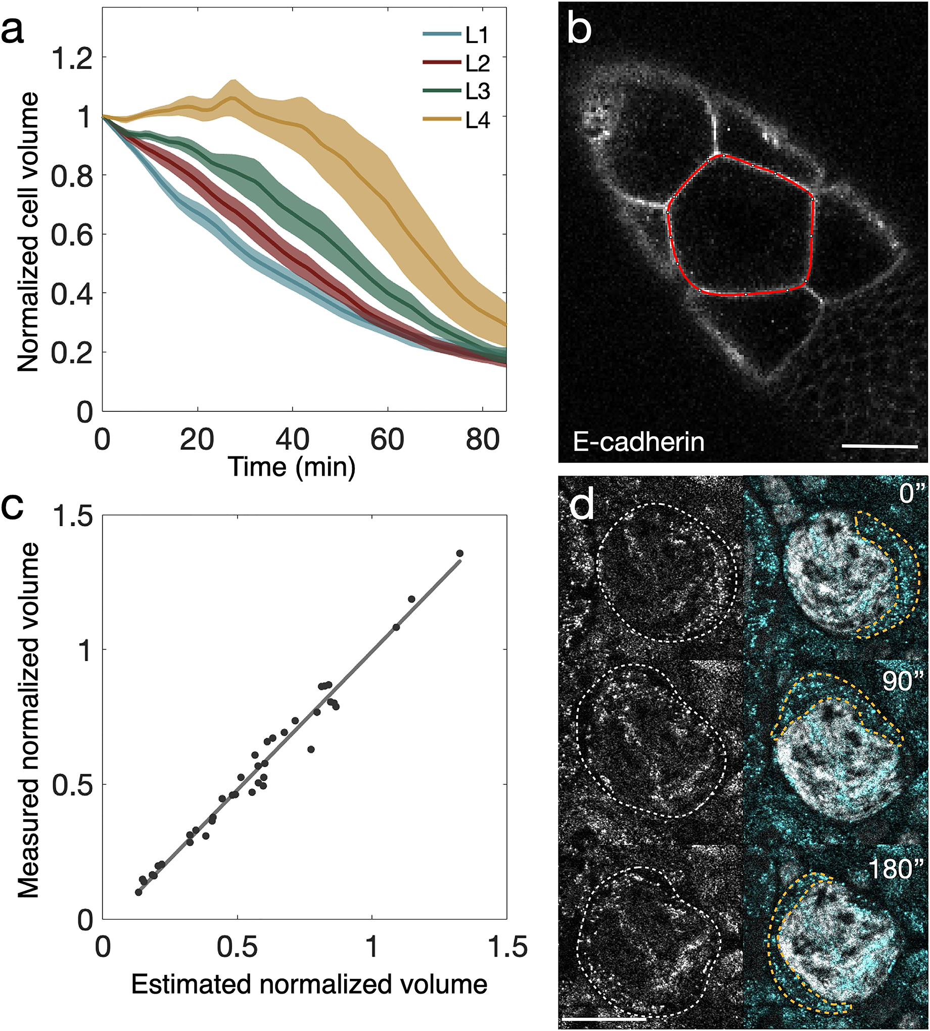 Figure 3: