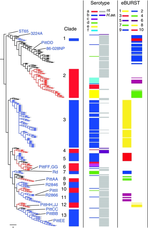 FIG. 1.