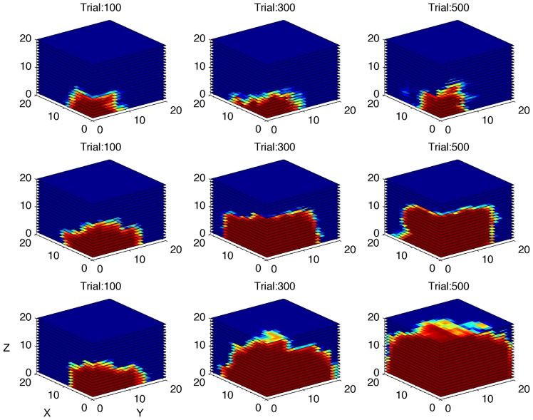 FIGURE 6