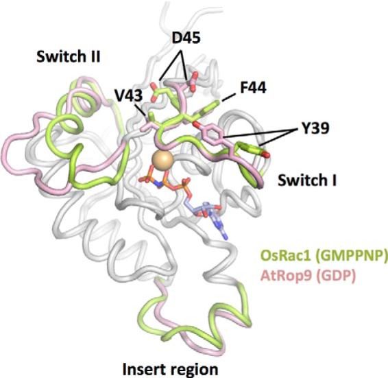 FIGURE 2.