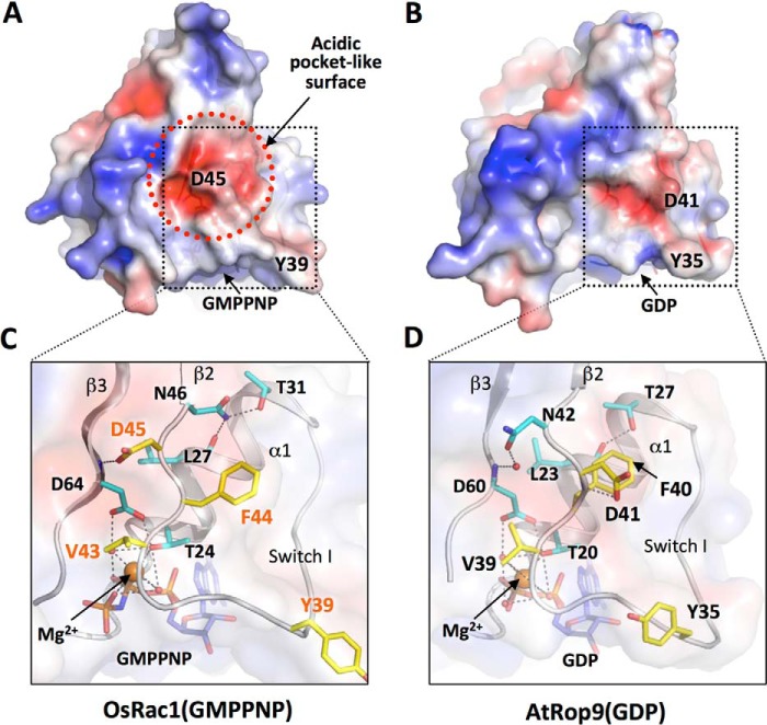 FIGURE 6.