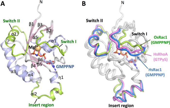 FIGURE 1.