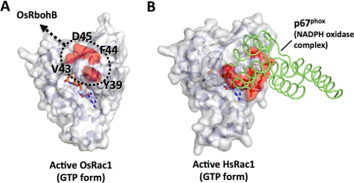 FIGURE 7.