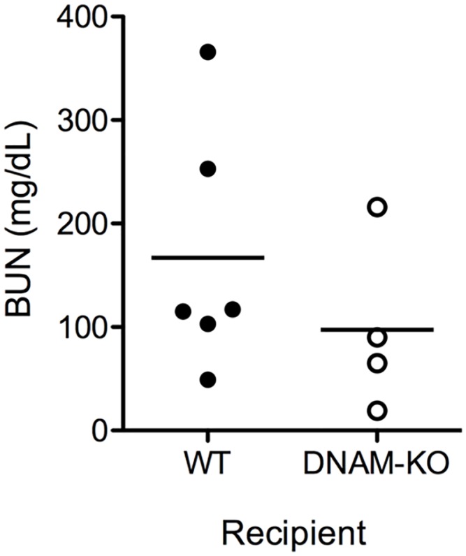 Fig 5