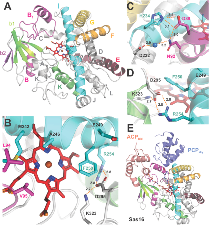 Figure 2