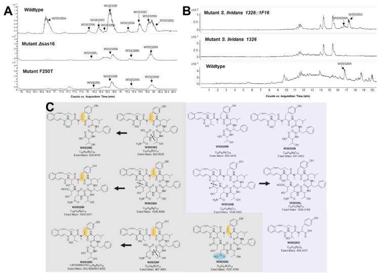 Figure 3