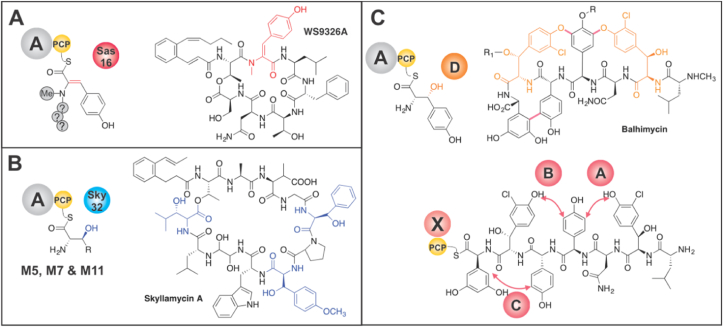 Figure 1