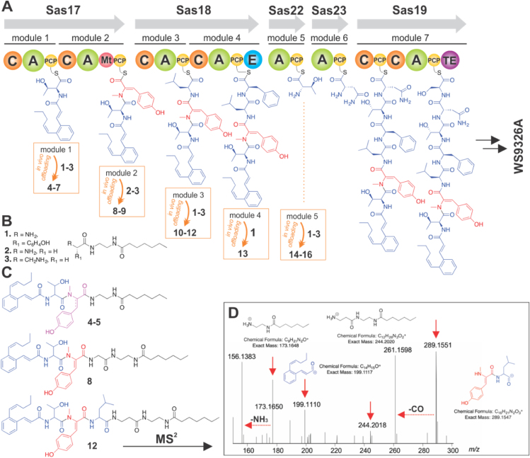 Figure 4