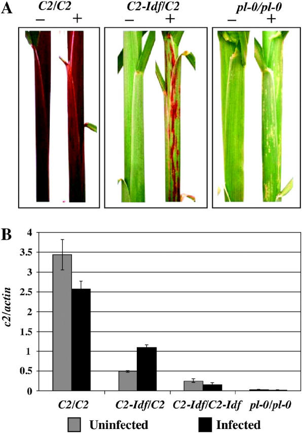 Figure 6.—