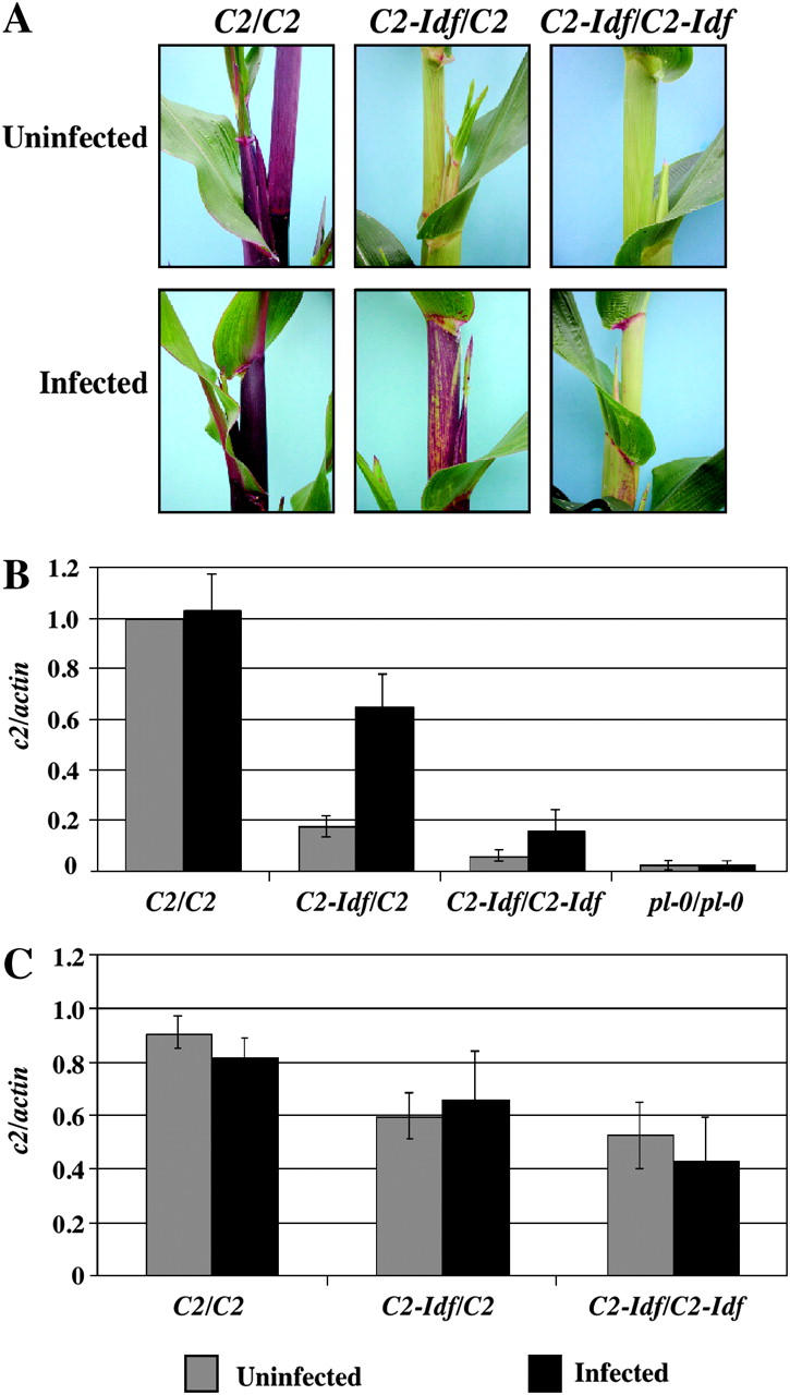 Figure 7.—