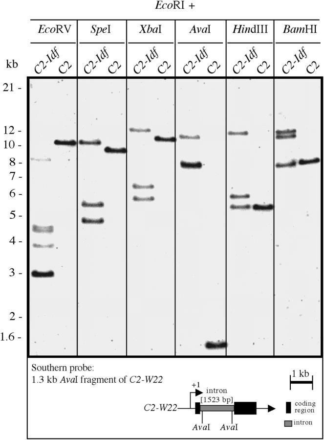 Figure 2.—