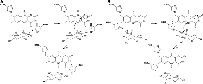 Fig. 6