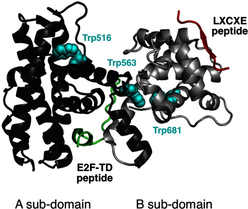 FIGURE 1.