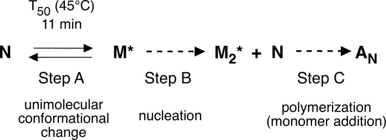 SCHEME 4.