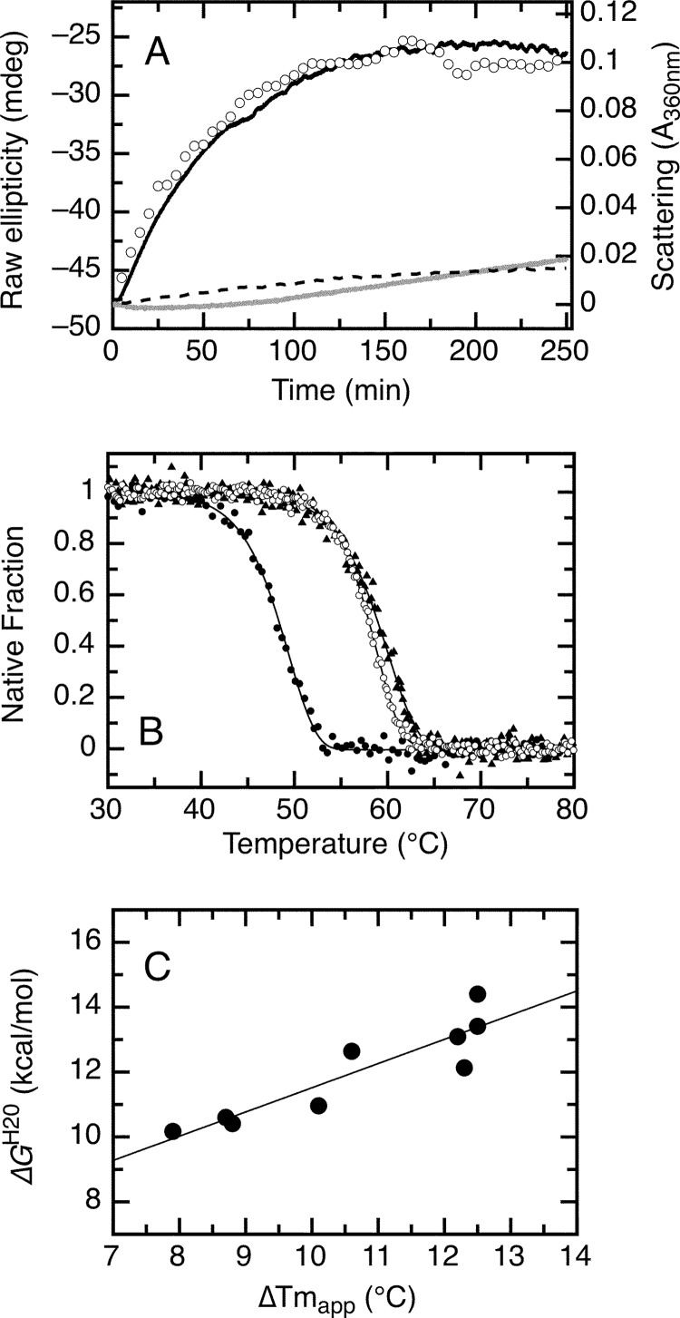 FIGURE 8.