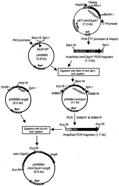 FIG. 1.