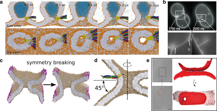 Fig. 3