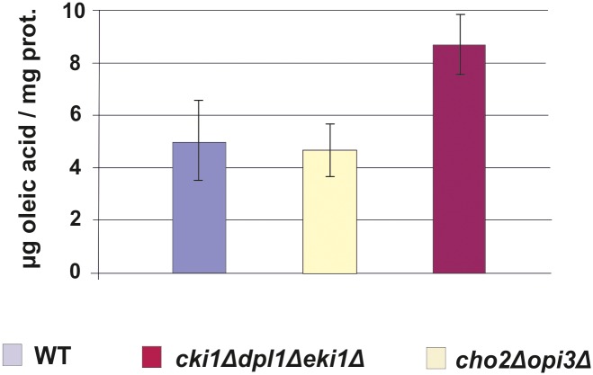 Fig 7