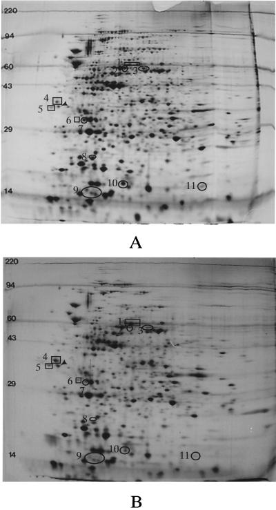 FIG. 5